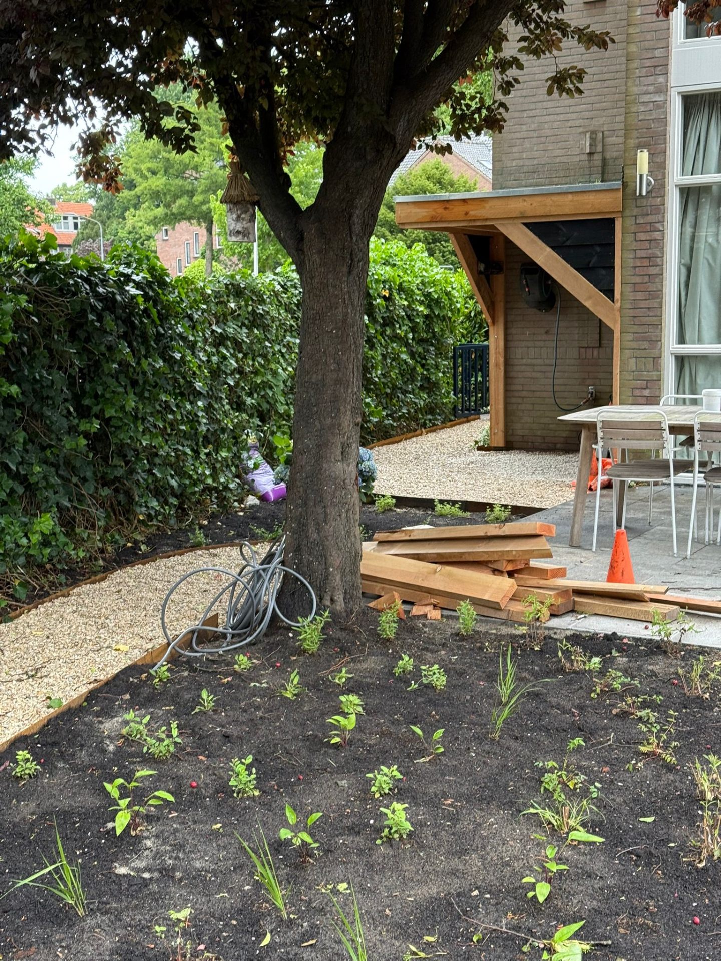 Borderaanleg rondom bestaande boom